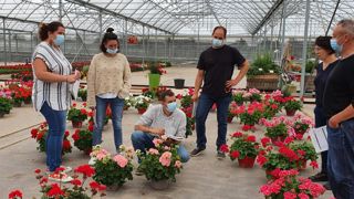 La force de vente de Syngenta Flowers pour la Normandie, les Pays de la Loire, la Bretagne, le Centre et l’Aquitaine préparait son événement 2021 autour du pôle Calliope. ©Syngenta Flowers La force de vente de Syngenta Flowers pour la Normandie, les Pays de la Loire, la Bretagne, le Centre et l’Aquitaine préparait son événement 2021 autour du pôle Calliope. ©Syngenta Flowers